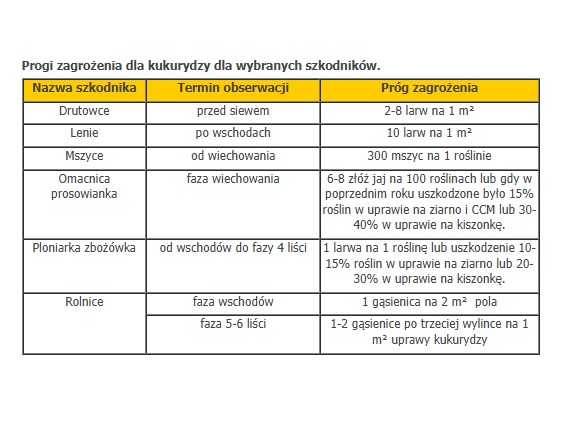 Progi Zagrożenia Dla Szkodników Kukurydzy 🌽